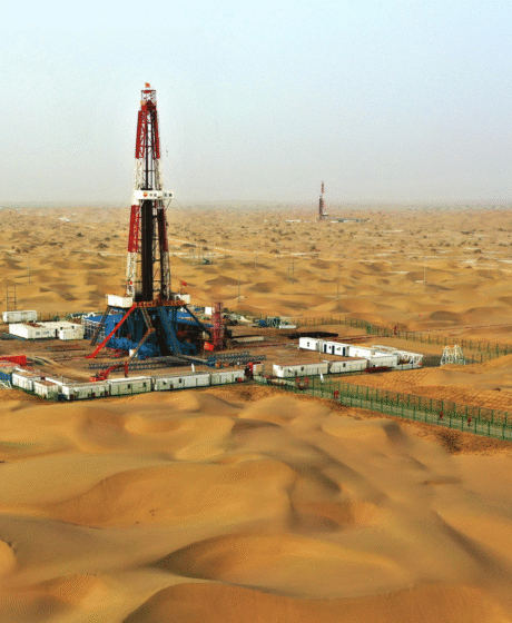 Full-Condition-Survey-Western-Desert