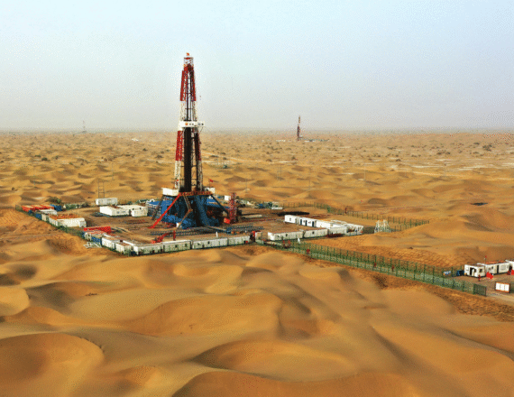 Full-Condition-Survey-Western-Desert